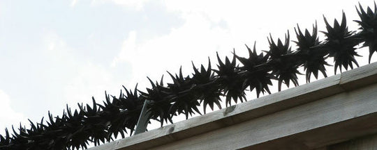 Système de protection Bordure défensive   anti escalade simple et efficace