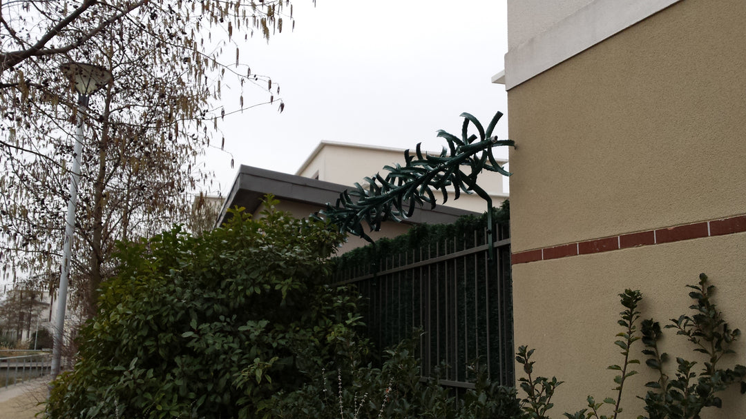 Bordures défensive, Système de protection anti escalade simple et effic