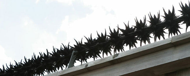 Système de protection Bordure défensive   anti escalade simple et efficace